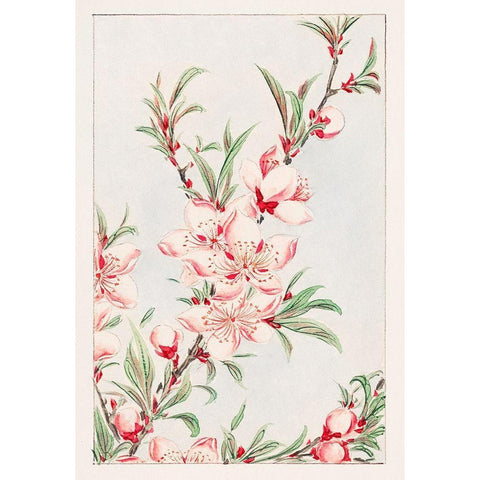 Peach tree branches with leaves and blossoms Gold Ornate Wood Framed Art Print with Double Matting by Morikaga, Megata