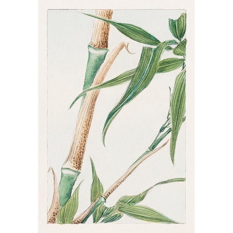 Japanese Bamboo White Modern Wood Framed Art Print by Morikaga, Megata