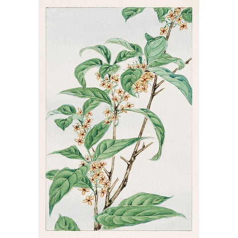 Stem with leaves and small flowers White Modern Wood Framed Art Print by Morikaga, Megata