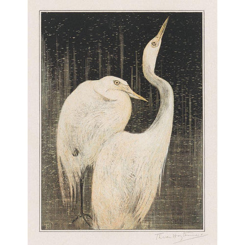 Two egrets Black Modern Wood Framed Art Print with Double Matting by Hoytema, Theo van