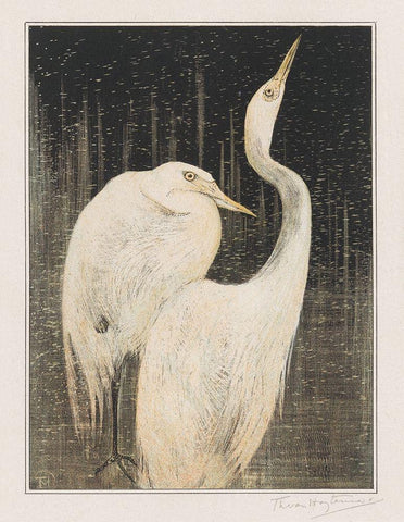 Two egrets Black Ornate Wood Framed Art Print with Double Matting by Hoytema, Theo van