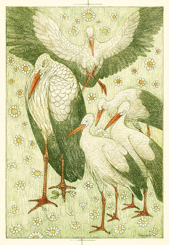 Five storks in a meadow White Modern Wood Framed Art Print with Double Matting by Hoytema, Theo van