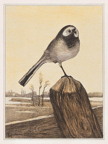 Wagtail on pole White Modern Wood Framed Art Print with Double Matting by Hoytema, Theo van