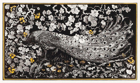 Peacock Black Ornate Wood Framed Art Print with Double Matting by Hoytema, Theo van