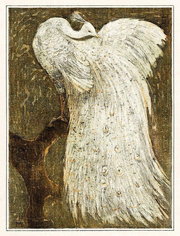 White peacock on branch Black Ornate Wood Framed Art Print with Double Matting by Hoytema, Theo van