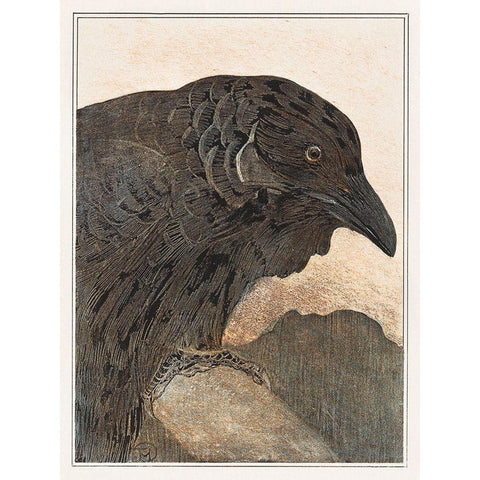 Crow Black Modern Wood Framed Art Print with Double Matting by Hoytema, Theo van