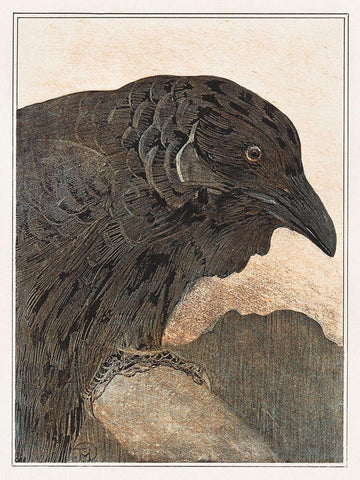 Crow White Modern Wood Framed Art Print with Double Matting by Hoytema, Theo van