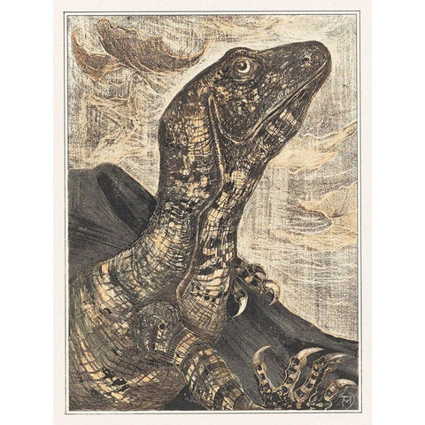 Iguana Gold Ornate Wood Framed Art Print with Double Matting by Hoytema, Theo van