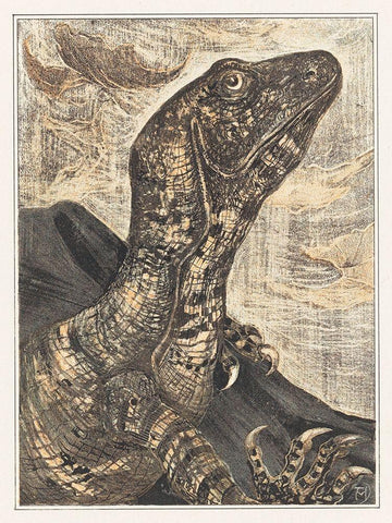 Iguana White Modern Wood Framed Art Print with Double Matting by Hoytema, Theo van