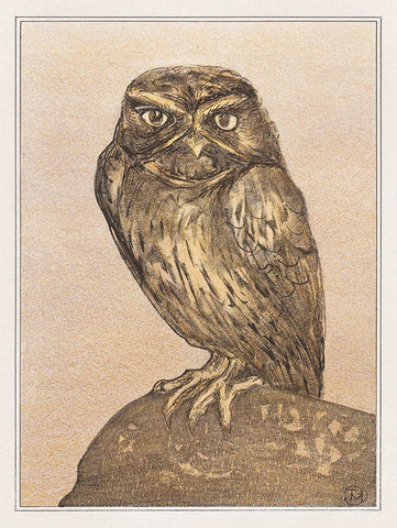 Little owl on rock White Modern Wood Framed Art Print with Double Matting by Hoytema, Theo van