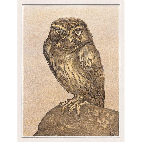 Little owl on rock White Modern Wood Framed Art Print by Hoytema, Theo van