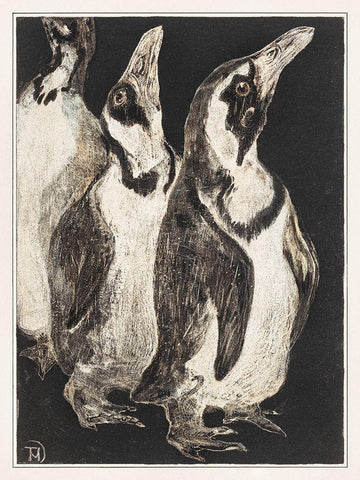 Three penguins Black Ornate Wood Framed Art Print with Double Matting by Hoytema, Theo van