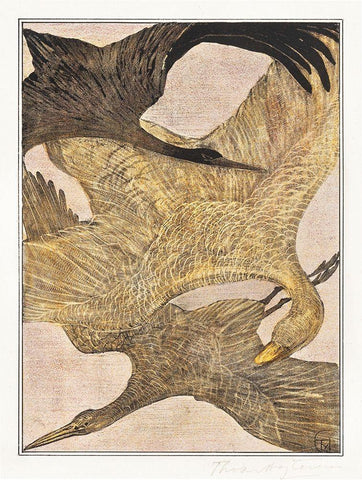 Three flying birds White Modern Wood Framed Art Print with Double Matting by Hoytema, Theo van