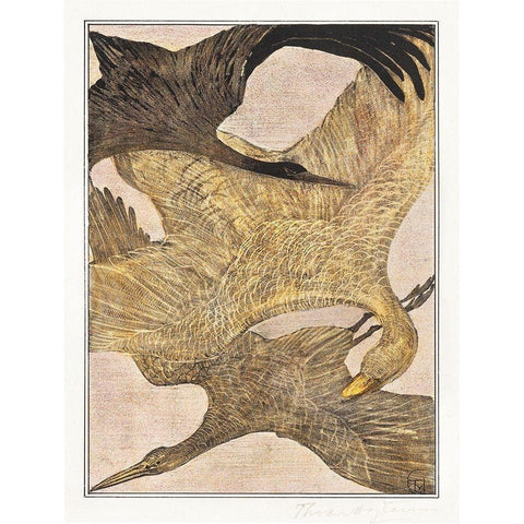 Three flying birds White Modern Wood Framed Art Print by Hoytema, Theo van