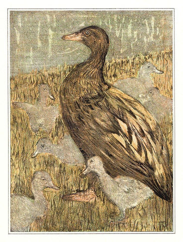 Duck with chicks at waterfront Black Ornate Wood Framed Art Print with Double Matting by Hoytema, Theo van