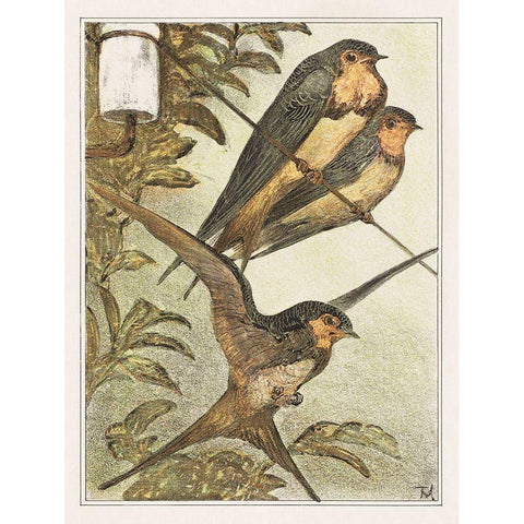 Three swallows White Modern Wood Framed Art Print by Hoytema, Theo van