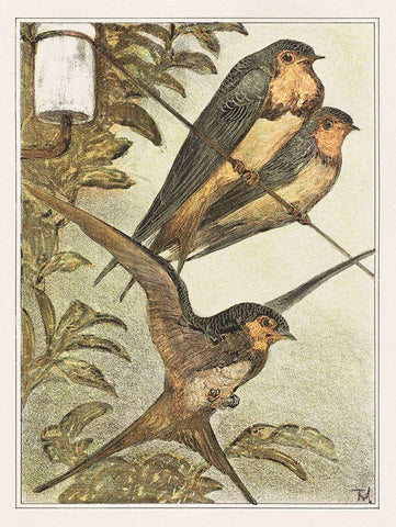 Three swallows Black Ornate Wood Framed Art Print with Double Matting by Hoytema, Theo van