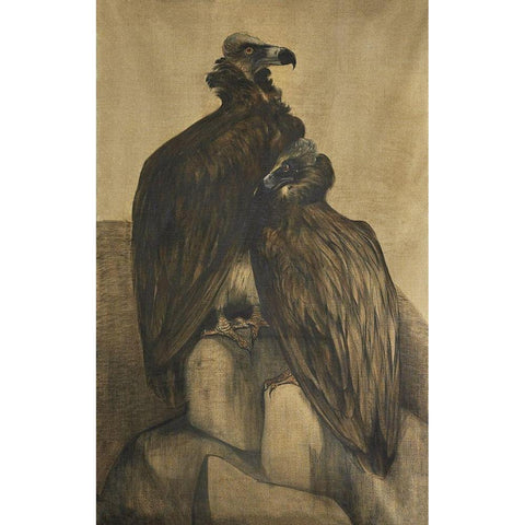 Two Arabian Vultures Gold Ornate Wood Framed Art Print with Double Matting by Hoytema, Theo van