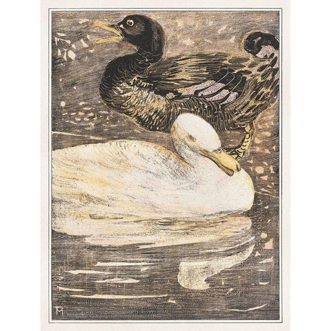 Two ducks Black Modern Wood Framed Art Print with Double Matting by Hoytema, Theo van