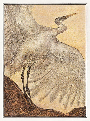 Egret White Modern Wood Framed Art Print with Double Matting by Hoytema, Theo van