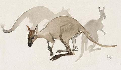 Kangaroos Black Ornate Wood Framed Art Print with Double Matting by Hoytema, Theo van