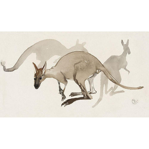 Kangaroos Black Modern Wood Framed Art Print with Double Matting by Hoytema, Theo van