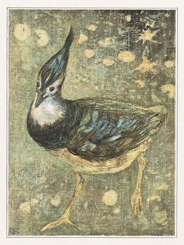 Lapwing White Modern Wood Framed Art Print with Double Matting by Hoytema, Theo van