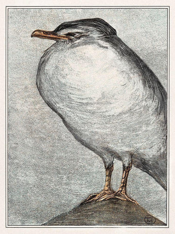 Herring Gull Black Ornate Wood Framed Art Print with Double Matting by Hoytema, Theo van