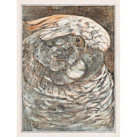 Head of a parrot White Modern Wood Framed Art Print by Hoytema, Theo van