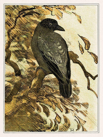 Hooded crow on branch Black Ornate Wood Framed Art Print with Double Matting by Hoytema, Theo van