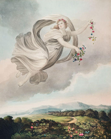 Flora Dispensing Her Favours on the Earth from The Temple of Flora White Modern Wood Framed Art Print with Double Matting by Thornton, Robert John
