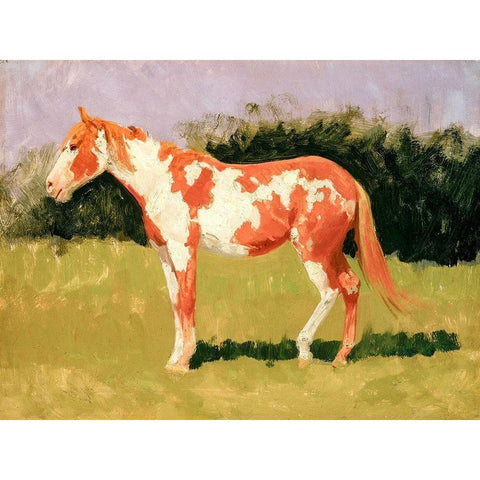 Pinto horse White Modern Wood Framed Art Print by Remington, Frederic