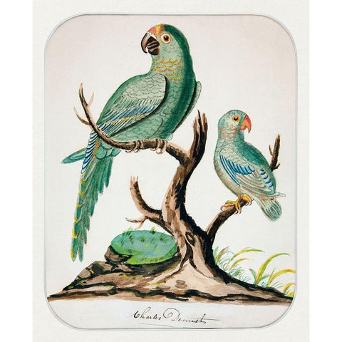 Two Parrots on a Barren Tree Gold Ornate Wood Framed Art Print with Double Matting by Demuth, Charles