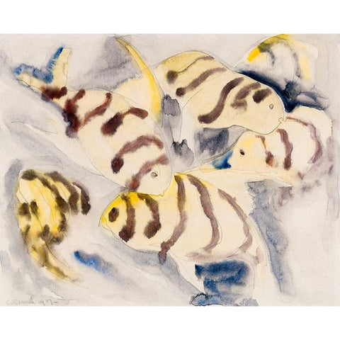 Fish Series-No. 3 White Modern Wood Framed Art Print by Demuth, Charles