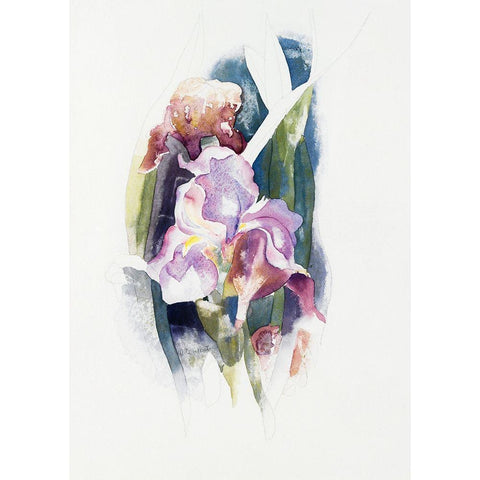 Purple Iris White Modern Wood Framed Art Print by Demuth, Charles