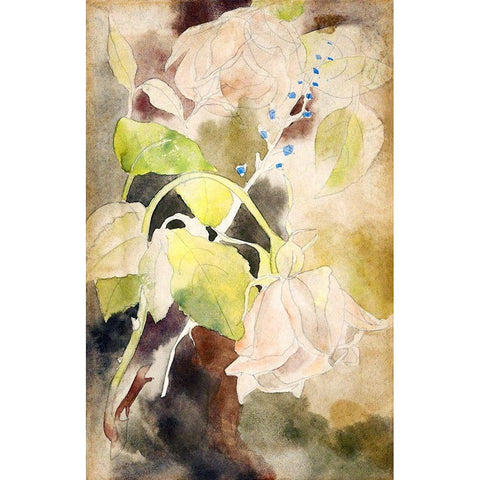 Peachy Rose White Modern Wood Framed Art Print by Demuth, Charles