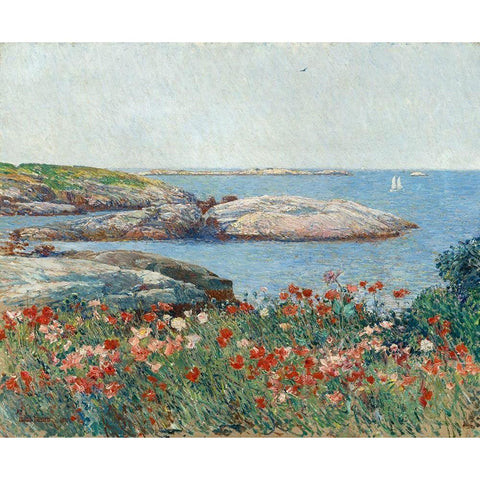 Poppies-Isles of Shoals Black Modern Wood Framed Art Print with Double Matting by Hassam, Childe