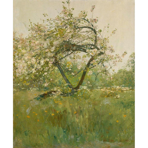 Peach Blossoms Villiers le Bel White Modern Wood Framed Art Print by Hassam, Childe