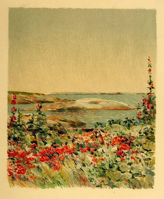Image Only