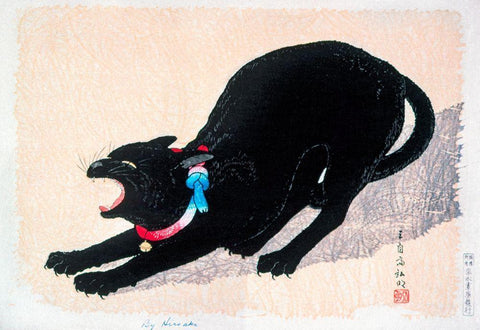 Black Cat Hissing White Modern Wood Framed Art Print with Double Matting by Takahashi, Hiroaki