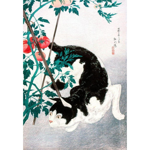 Cat with Tomato Plant Black Modern Wood Framed Art Print with Double Matting by Takahashi, Hiroaki