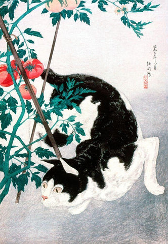 Cat with Tomato Plant Black Ornate Wood Framed Art Print with Double Matting by Takahashi, Hiroaki