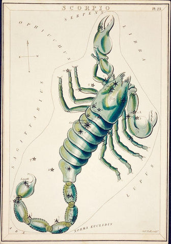 Astronomical chart illustration of the Scorpio White Modern Wood Framed Art Print with Double Matting by Library of Congress
