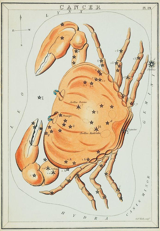 Image Only