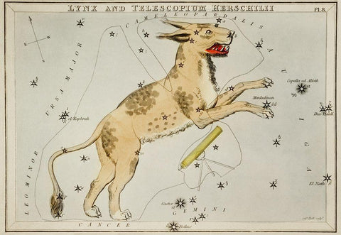 Astronomical chart illustration of Lynx and the Telescopium Herschilii White Modern Wood Framed Art Print with Double Matting by Hall, Sidney