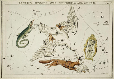 Astronomical chart illustration of the Lacerta-Cygnus-Lyra-Vulpecula and the Anser White Modern Wood Framed Art Print with Double Matting by Hall, Sidney