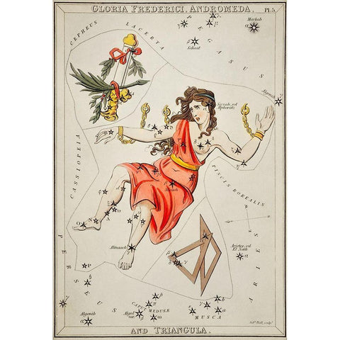 Astronomical chart illustration of Gloria Frederici-Andromeda White Modern Wood Framed Art Print by Hall, Sidney