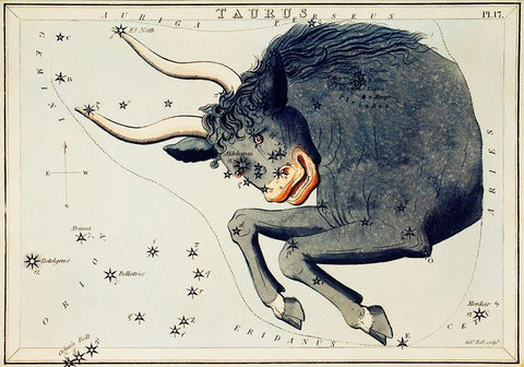 Astronomical chart illustration of the Taurus Black Ornate Wood Framed Art Print with Double Matting by Hall, Sidney