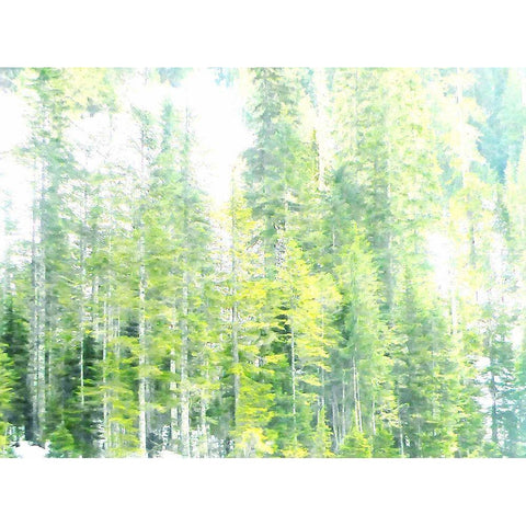 Growth White Modern Wood Framed Art Print by Ghanooni, Sarah