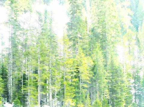 Growth White Modern Wood Framed Art Print with Double Matting by Ghanooni, Sarah